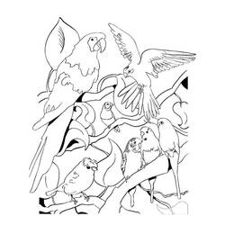 Dibujo para colorear: Loro (Animales) #16147 - Dibujos para Colorear e Imprimir Gratis