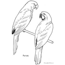 Dibujo para colorear: Loro (Animales) #16194 - Dibujos para Colorear e Imprimir Gratis