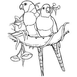 Dibujo para colorear: Loro (Animales) #16227 - Dibujos para Colorear e Imprimir Gratis