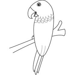 Dibujo para colorear: Loro (Animales) #16239 - Dibujos para Colorear e Imprimir Gratis