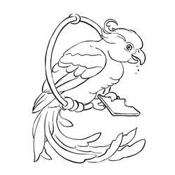 Dibujo para colorear: Loro (Animales) #16252 - Dibujos para Colorear e Imprimir Gratis