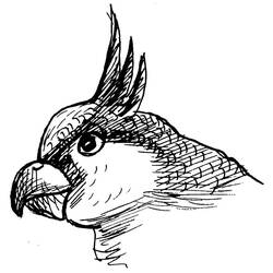 Dibujo para colorear: Loro (Animales) #16253 - Dibujos para Colorear e Imprimir Gratis