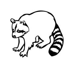 Dibujo para colorear: Mapache (Animales) #208492 - Dibujos para Colorear e Imprimir Gratis