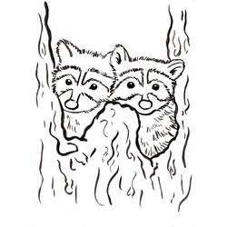 Dibujo para colorear: Mapache (Animales) #208494 - Dibujos para Colorear e Imprimir Gratis