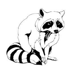 Dibujo para colorear: Mapache (Animales) #208498 - Dibujos para Colorear e Imprimir Gratis