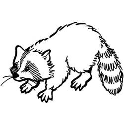 Dibujo para colorear: Mapache (Animales) #208501 - Dibujos para Colorear e Imprimir Gratis