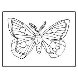 Dibujo para colorear: Mariposa (Animales) #15667 - Dibujos para Colorear e Imprimir Gratis
