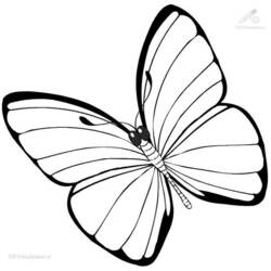 Dibujo para colorear: Mariposa (Animales) #15680 - Dibujos para Colorear e Imprimir Gratis