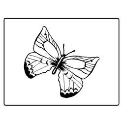 Dibujo para colorear: Mariposa (Animales) #15687 - Dibujos para Colorear e Imprimir Gratis