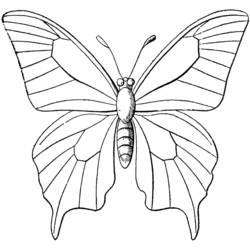 Dibujo para colorear: Mariposa (Animales) #15693 - Dibujos para Colorear e Imprimir Gratis