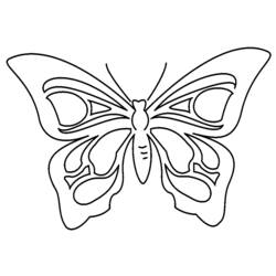 Dibujo para colorear: Mariposa (Animales) #15707 - Dibujos para Colorear e Imprimir Gratis