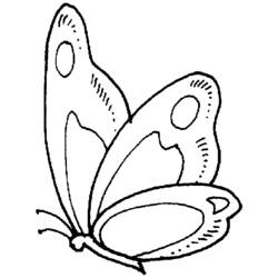 Dibujo para colorear: Mariposa (Animales) #15719 - Dibujos para Colorear e Imprimir Gratis
