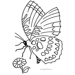 Dibujo para colorear: Mariposa (Animales) #15720 - Dibujos para Colorear e Imprimir Gratis