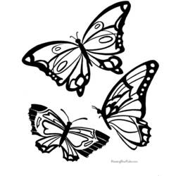 Dibujo para colorear: Mariposa (Animales) #15730 - Dibujos para Colorear e Imprimir Gratis