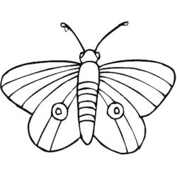 Dibujo para colorear: Mariposa (Animales) #15752 - Dibujos para Colorear e Imprimir Gratis