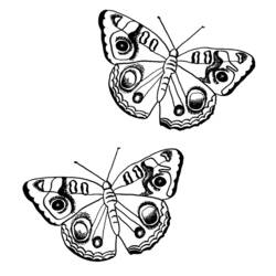 Dibujo para colorear: Mariposa (Animales) #15764 - Dibujos para Colorear e Imprimir Gratis