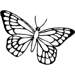 Dibujos para colorear: Mariposa - Dibujos para colorear