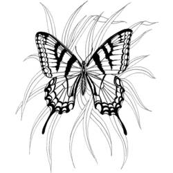 Dibujo para colorear: Mariposa (Animales) #15786 - Dibujos para Colorear e Imprimir Gratis