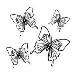 Dibujo para colorear: Mariposa (Animales) #15788 - Dibujos para Colorear e Imprimir Gratis