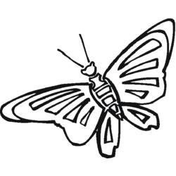 Dibujo para colorear: Mariposa (Animales) #15813 - Dibujos para Colorear e Imprimir Gratis