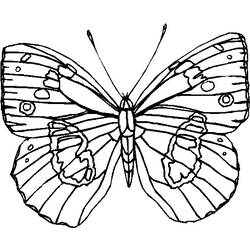 Dibujo para colorear: Mariposa (Animales) #15814 - Dibujos para Colorear e Imprimir Gratis