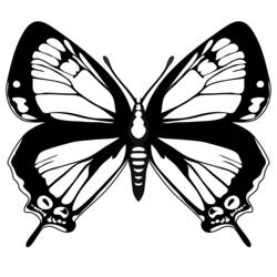 Dibujo para colorear: Mariposa (Animales) #15827 - Dibujos para Colorear e Imprimir Gratis