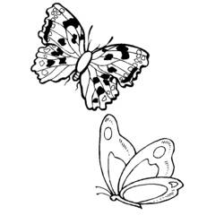 Dibujo para colorear: Mariposa (Animales) #15828 - Dibujos para Colorear e Imprimir Gratis