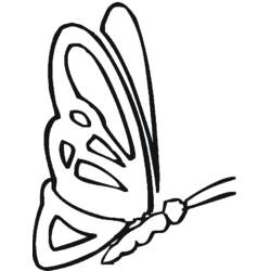 Dibujo para colorear: Mariposa (Animales) #15840 - Dibujos para Colorear e Imprimir Gratis