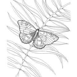 Dibujo para colorear: Mariposa (Animales) #15841 - Dibujos para Colorear e Imprimir Gratis