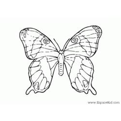 Dibujo para colorear: Mariposa (Animales) #15857 - Dibujos para Colorear e Imprimir Gratis