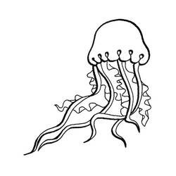 Dibujo para colorear: Medusa (Animales) #20511 - Dibujos para Colorear e Imprimir Gratis