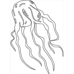 Dibujo para colorear: Medusa (Animales) #208786 - Dibujos para Colorear e Imprimir Gratis