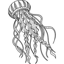 Dibujo para colorear: Medusa (Animales) #208793 - Dibujos para Colorear e Imprimir Gratis