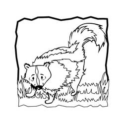 Dibujo Mofeta (Animales) #205281 para imprimir y colorear
