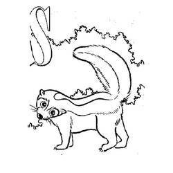 Dibujo Mofeta (Animales) #205283 para imprimir y colorear