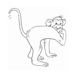 Dibujo para colorear: Mono (Animales) #14278 - Dibujos para Colorear e Imprimir Gratis