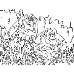 Dibujo para colorear: Mono (Animales) #14331 - Dibujos para Colorear e Imprimir Gratis