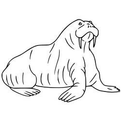 Dibujo Morsa (Animales) #208654 para imprimir y colorear
