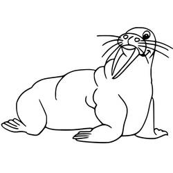 Dibujo Morsa (Animales) #208656 para imprimir y colorear