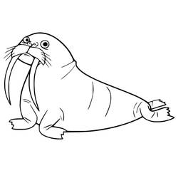 Dibujo Morsa (Animales) #208677 para imprimir y colorear