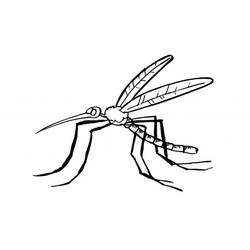 Dibujo Mosquito (Animales) #207171 para imprimir y colorear
