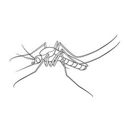 Dibujo Mosquito (Animales) #207187 para imprimir y colorear