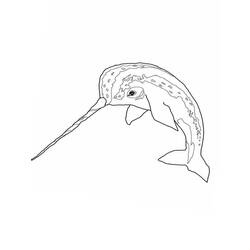 Dibujo Narval (Animales) #186640 para imprimir y colorear