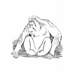 Dibujo para colorear: Orangután (Animales) #191563 - Dibujos para Colorear e Imprimir Gratis