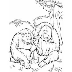 Dibujo para colorear: Orangután (Animales) #191564 - Dibujos para Colorear e Imprimir Gratis