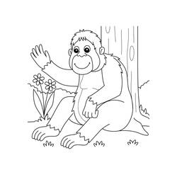 Dibujo para colorear: Orangután (Animales) #191566 - Dibujos para Colorear e Imprimir Gratis