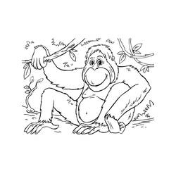 Dibujo para colorear: Orangután (Animales) #191568 - Dibujos para Colorear e Imprimir Gratis