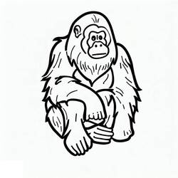 Dibujo para colorear: Orangután (Animales) #191573 - Dibujos para Colorear e Imprimir Gratis