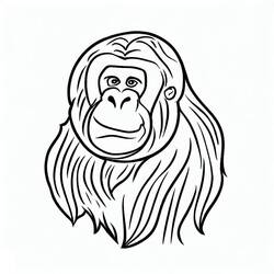 Dibujo para colorear: Orangután (Animales) #191575 - Dibujos para Colorear e Imprimir Gratis
