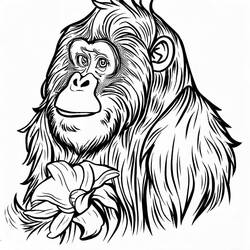Dibujo para colorear: Orangután (Animales) #191577 - Dibujos para Colorear e Imprimir Gratis